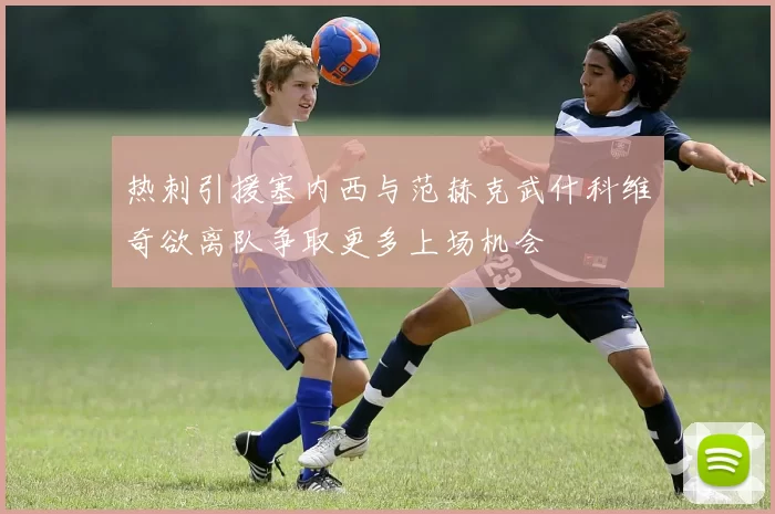 热刺引援塞内西与范赫克武什科维奇欲离队争取更多上场机会