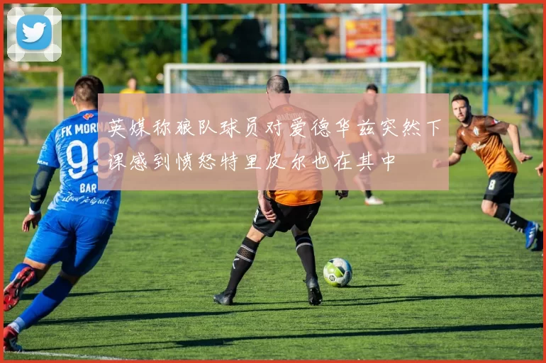 英媒称狼队球员对爱德华兹突然下课感到愤怒特里皮尔也在其中